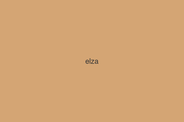 Elza